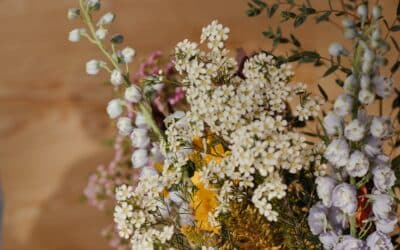 Summer Blooms